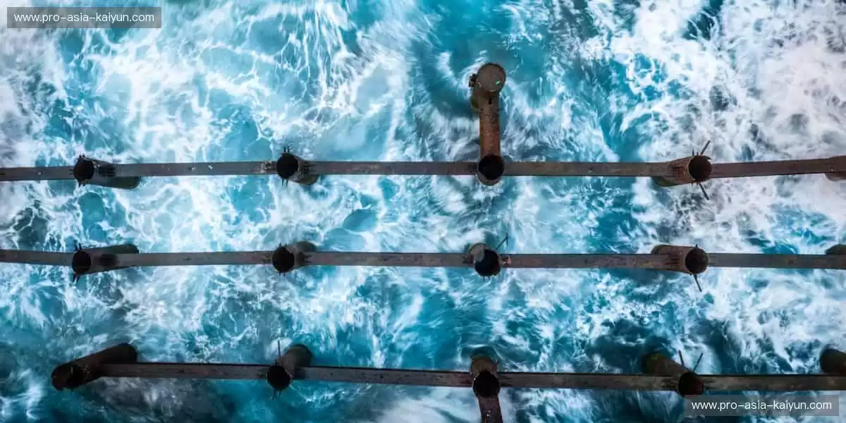 📱高清直播，随时随地掌控赛事！